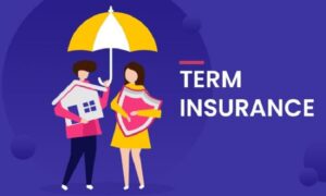 Investing in Term Insurance