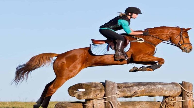 Best Horse Jump